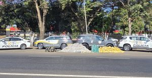 policia-rodoviaria-apreende-meia-tonelada-de-drogas-escondida-em-caminhao-frigorifico